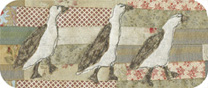 Runner Duck Flock Applique Pattern
