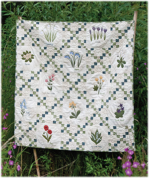 Janet Clare Wildflowers Quilt - 1 Day Workshop