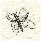 Butterfly embroidery - About me
